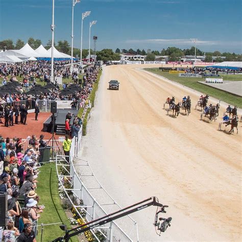 addington trotting fields.